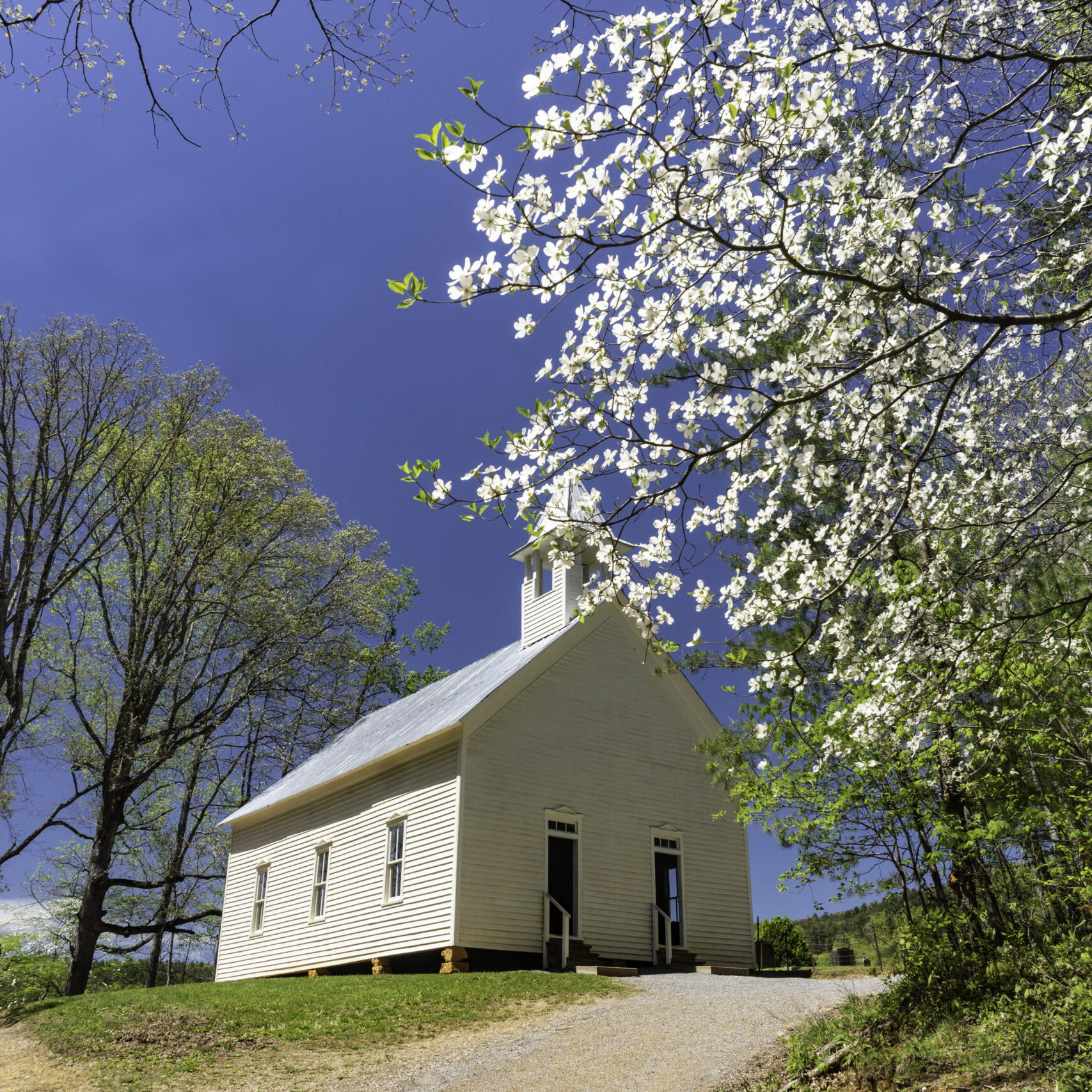 Would you like to get married in Cades Cove? Learn more about weddings in the Great Smoky Mountains National Park here.