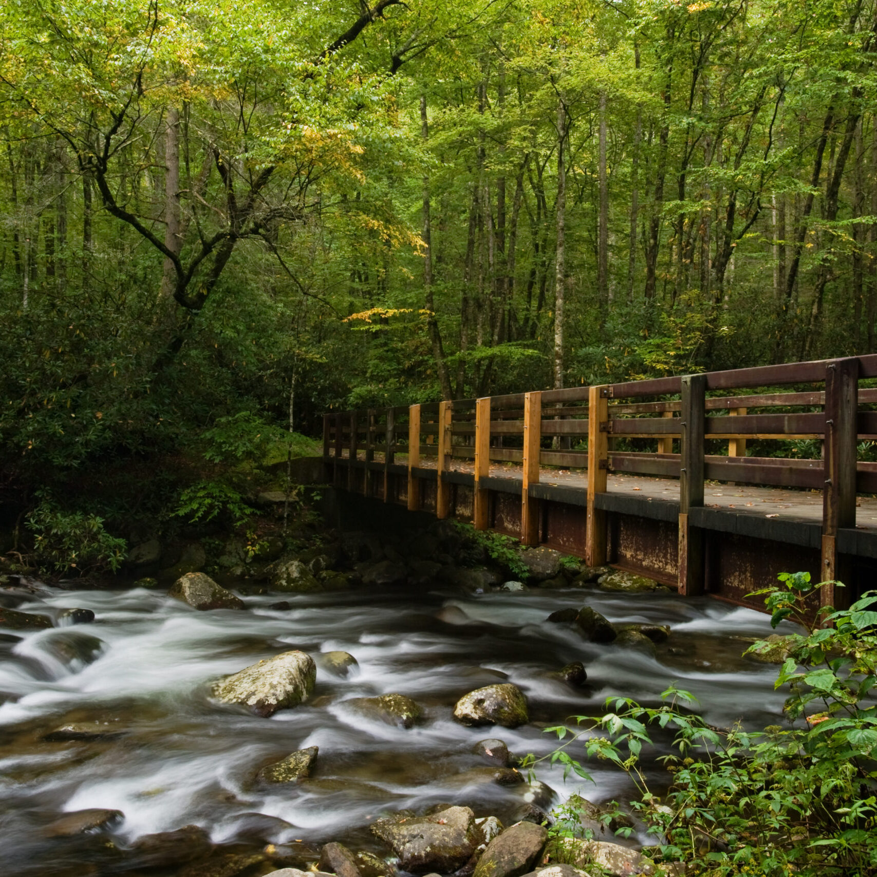 Weddings in the Great Smoky Mountains National Park are stunning! Learn more here.