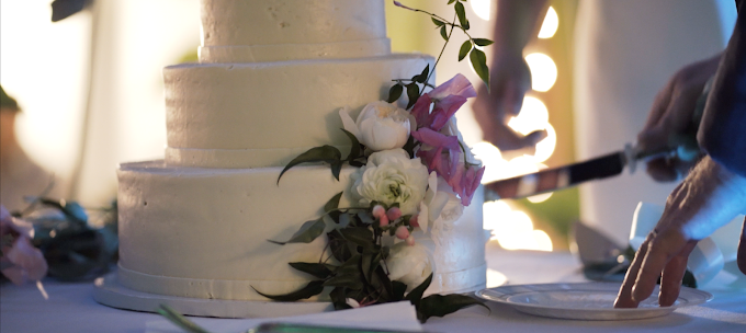 Wedding couple cuts their cake in the Smokies