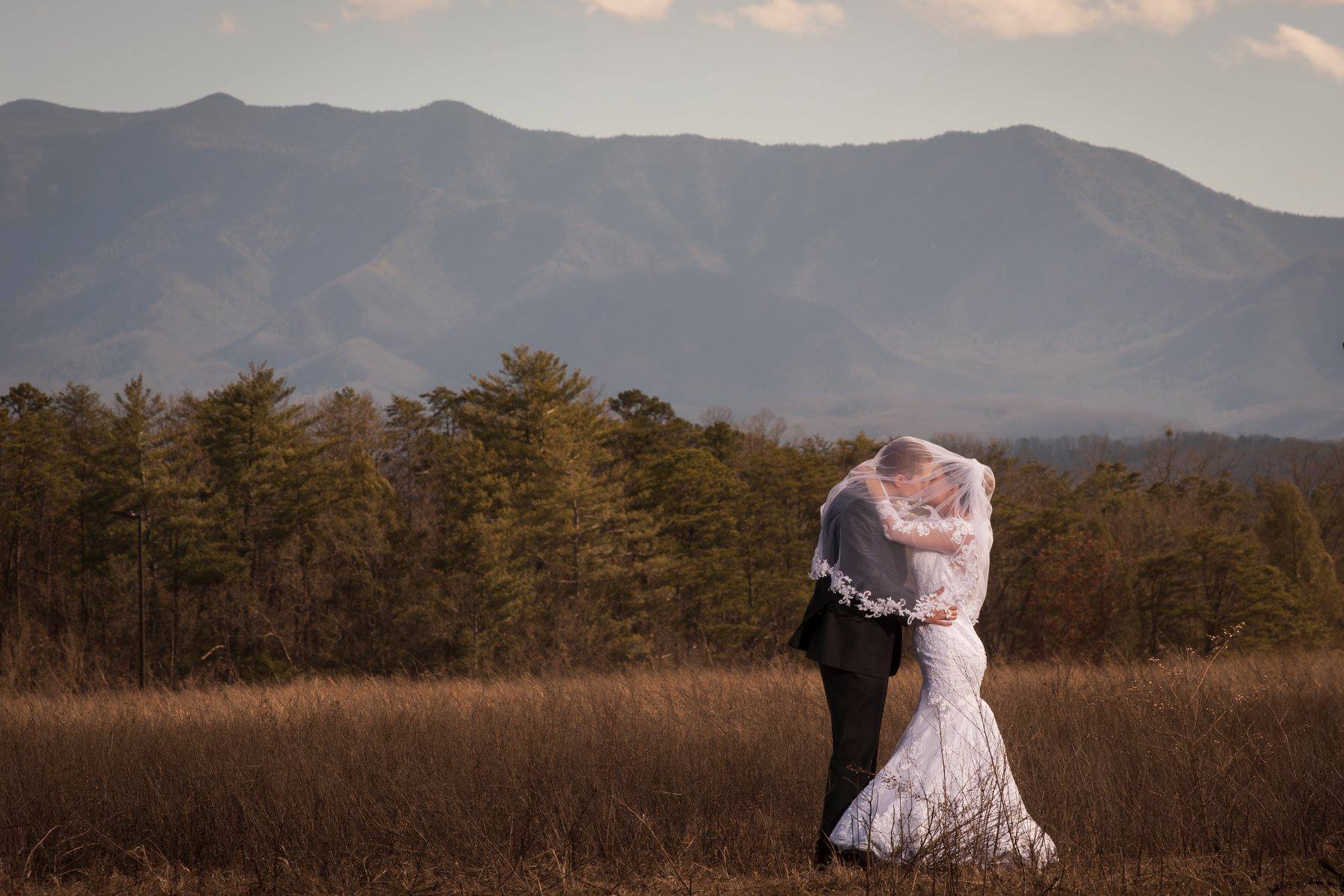 Don Fields Photography in the Smoky Mountains