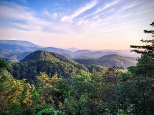 2026 Wedding Trends in the Smoky Mountains